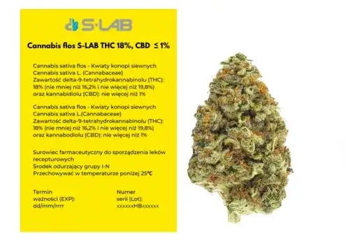 THC w medycznej marihuanie: Ile procent w aptece i co to znaczy?