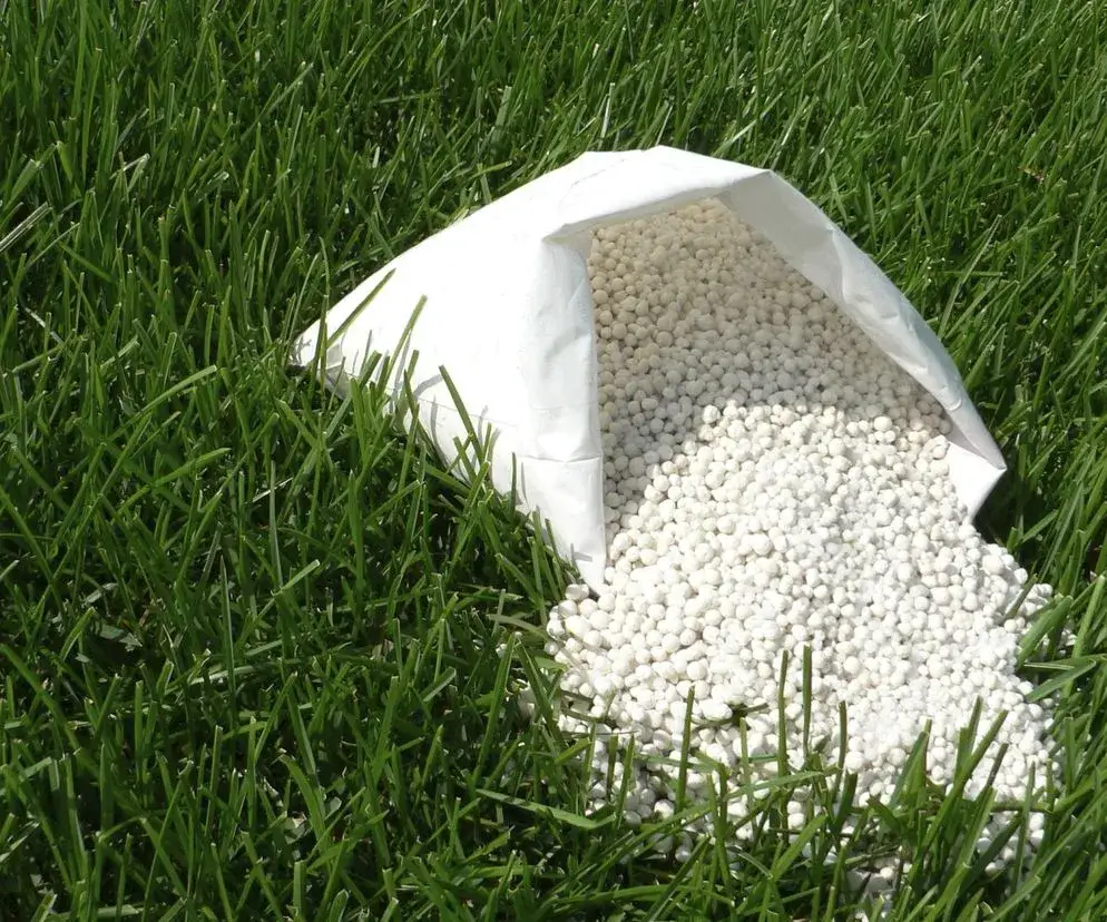 Kiedy siać nawóz na trawnik wiosną? Poradnik Neli Szymczak