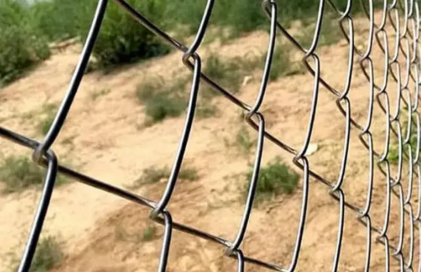 Ile kosztuje metr siatki ogrodowej? Sprawdź ceny i rodzaje siatek