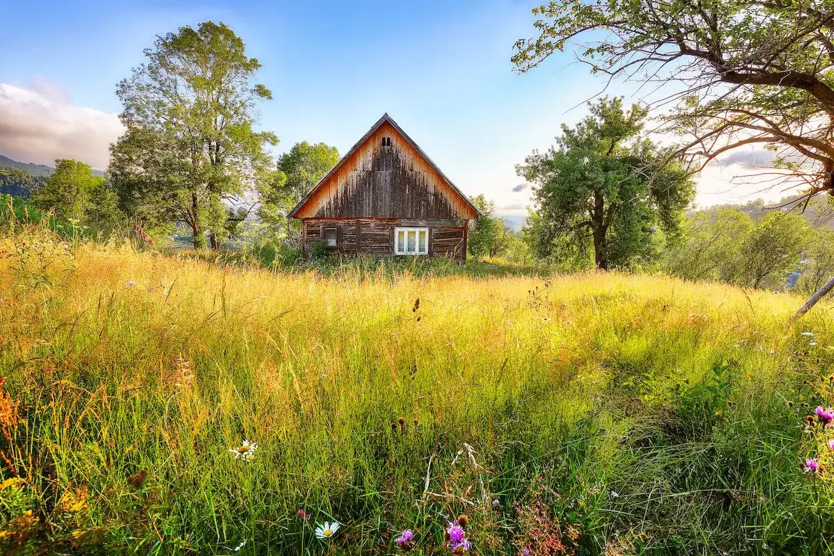 Drewniany wiejski dom z werandą, otoczony złotą łąką pełną dzikich kwiatów i zieleni.