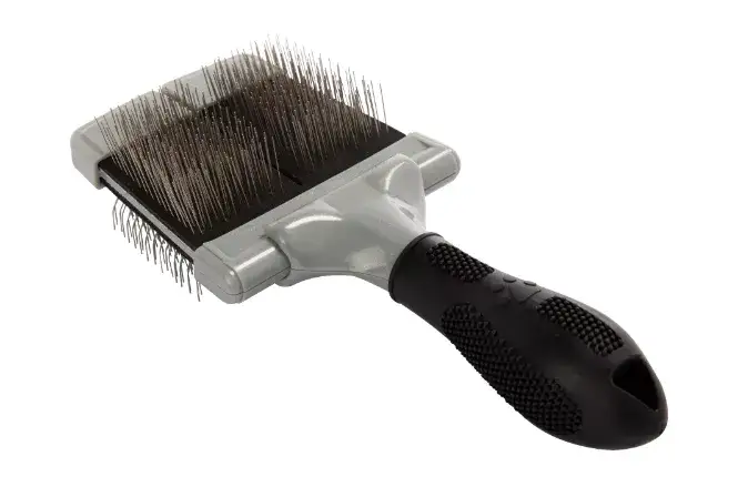 Najlepsza szczotka dla psa z krótką sierścią - uniknij błędów w pielęgnacji