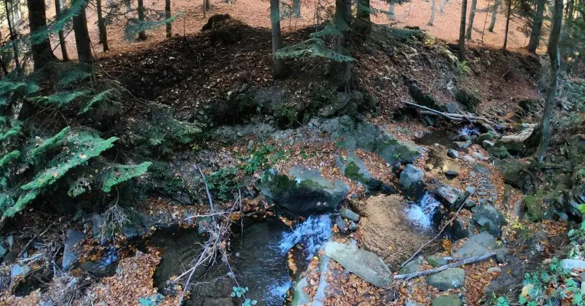 Rezerwat przyrody Madohora - unikalne walory i atrakcje natury