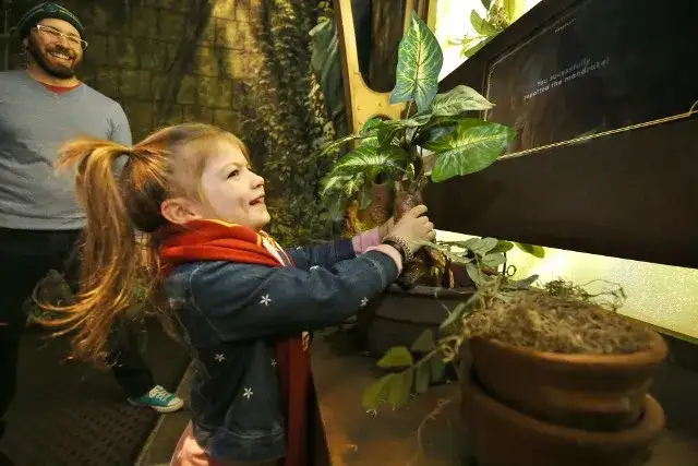 Atrakcje dla dzieci Podlaskie: miasteczko Harry Pottera i inne atrakcje w Podlasiu