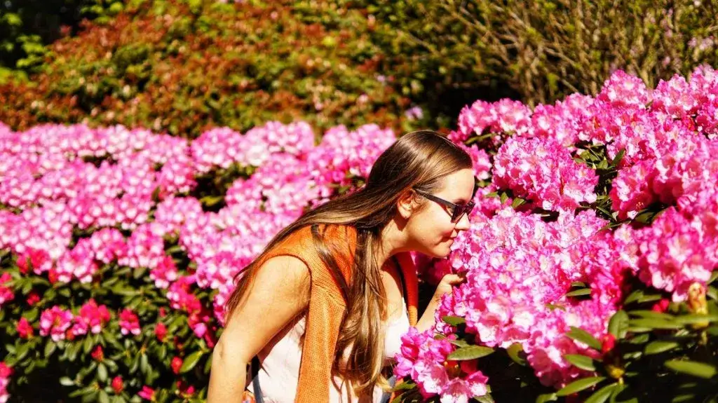 Najlepszy czas na wizytę w arboretum Wojsławice, aby uniknąć tłumów