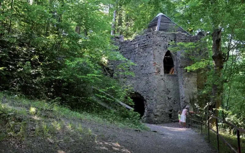 Rezerwat przyrody Jeziorko Daisy: unikalne atrakcje i historia