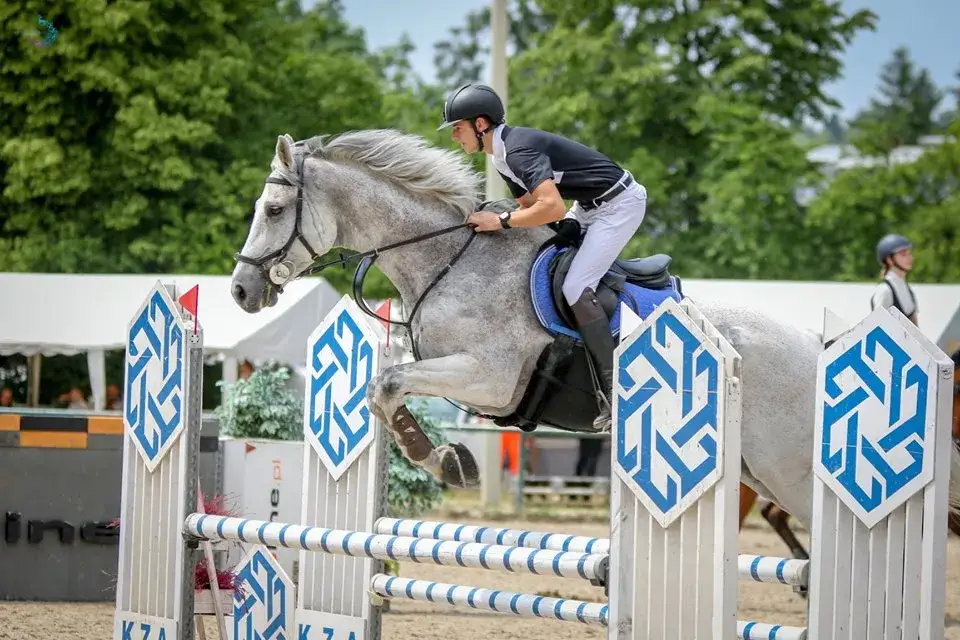 Stadnina koni Rancho Pcim - najlepsze lekcje jazdy konnej w regionie