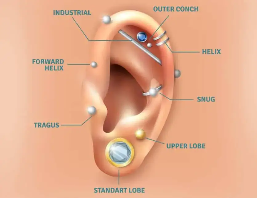 Mapa przekłuć ucha: nazwy, ból, gojenie i ceny - poradnik