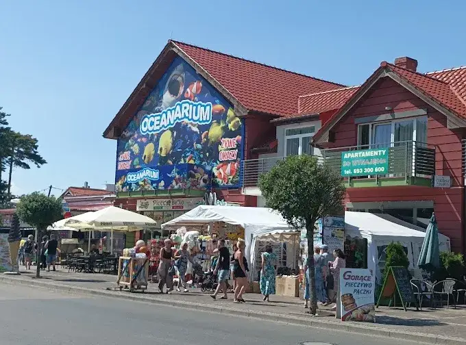 Oceanarium w Niechorzu - Ciekawe atrakcje i opinie odwiedzających