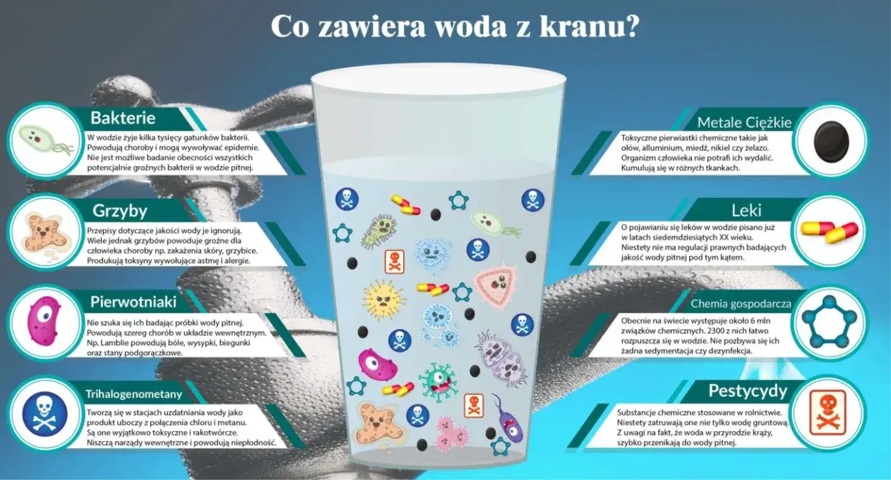 Co zawiera woda z kranu? Zaskakujące składniki i ich wpływ na zdrowie