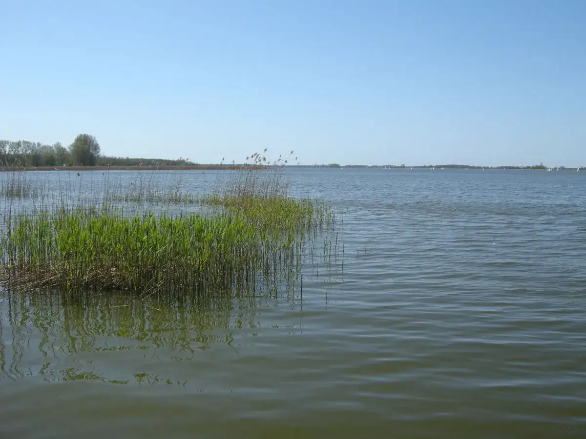 Jezioro Berzyńskie: atrakcje, wędkowanie i tajemnice przyrody w jednym miejscu