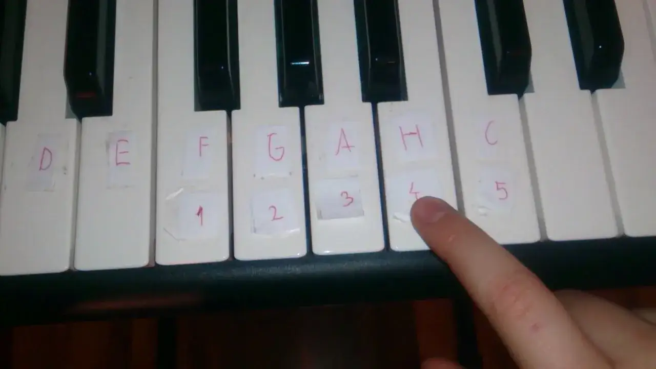 Jak zagrać wlazł kotek na płotek - proste nuty i akordy dla każdego