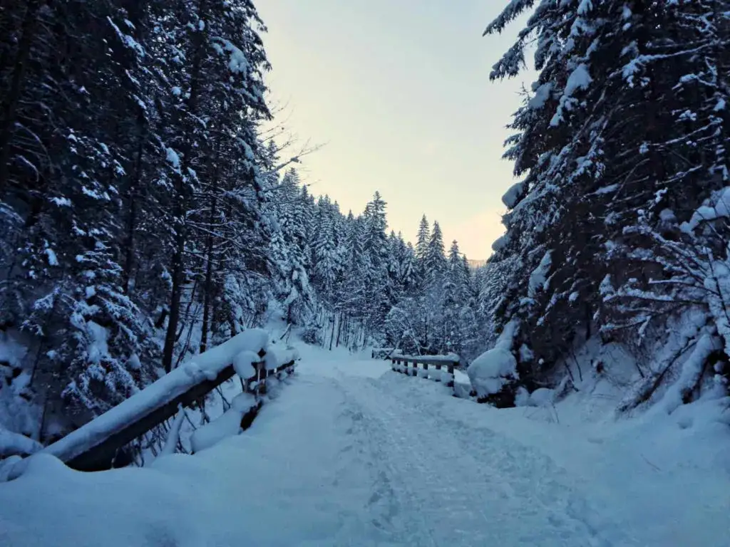 Zimą przez Dolinę Olczyską: trasa, atrakcje i bezpieczeństwo