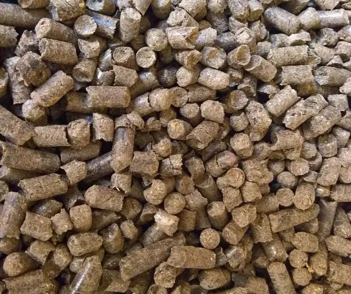 Jak uniknąć błędów przy imporcie pelletu z Ukrainy – praktyczne porady i procedury