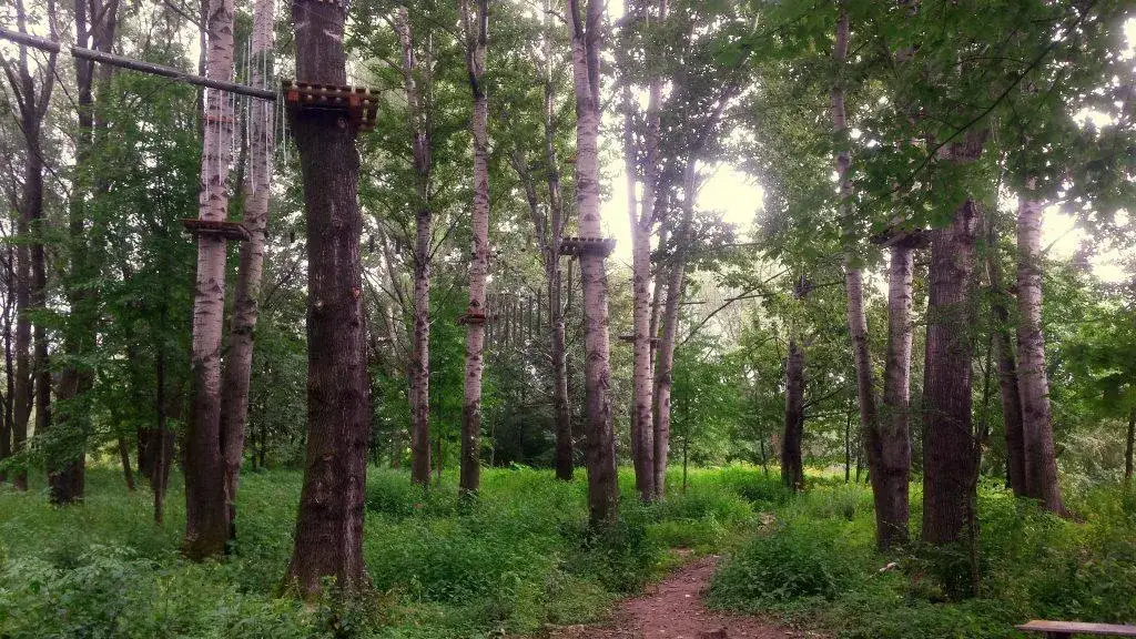 Park linowy Stary Sącz - poznaj trasy i emocje w Lemurze
