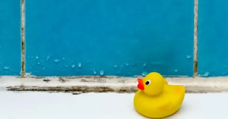 Jak pozbyć się pleśni z łazienki - skuteczne metody i porady