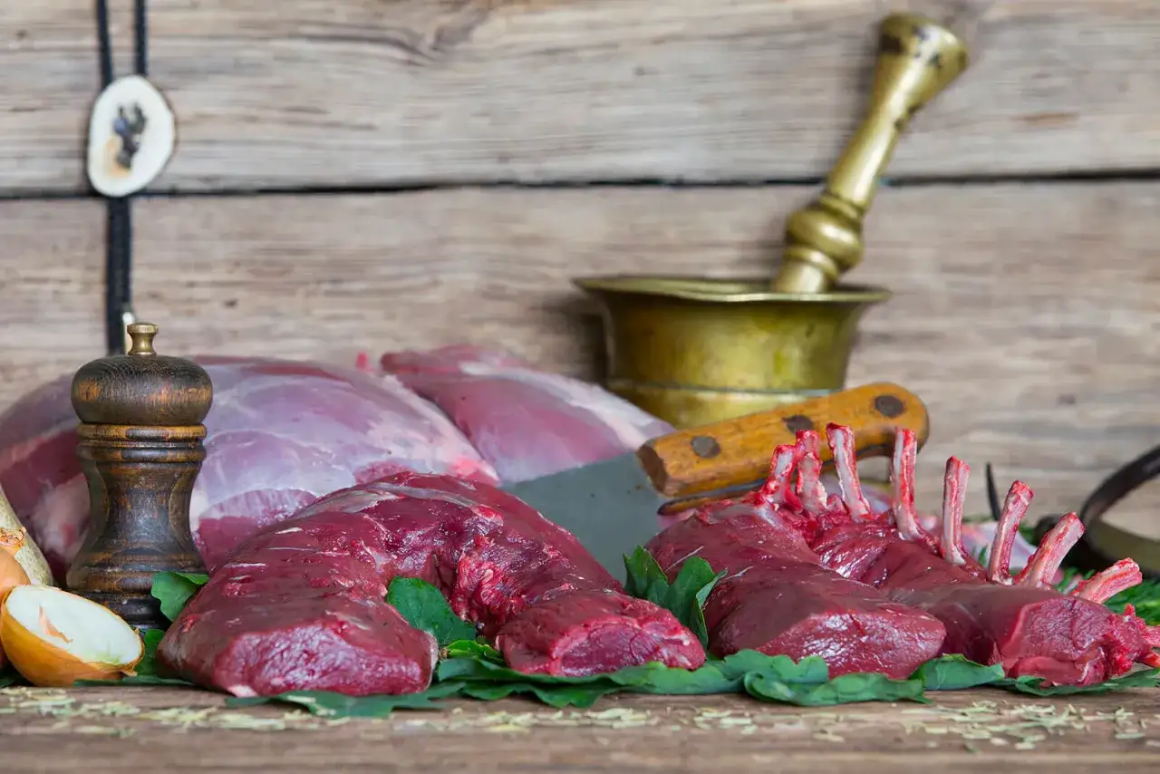 Czy dziczyzna jest zdrowa? Odkryj jej niesamowite właściwości zdrowotne