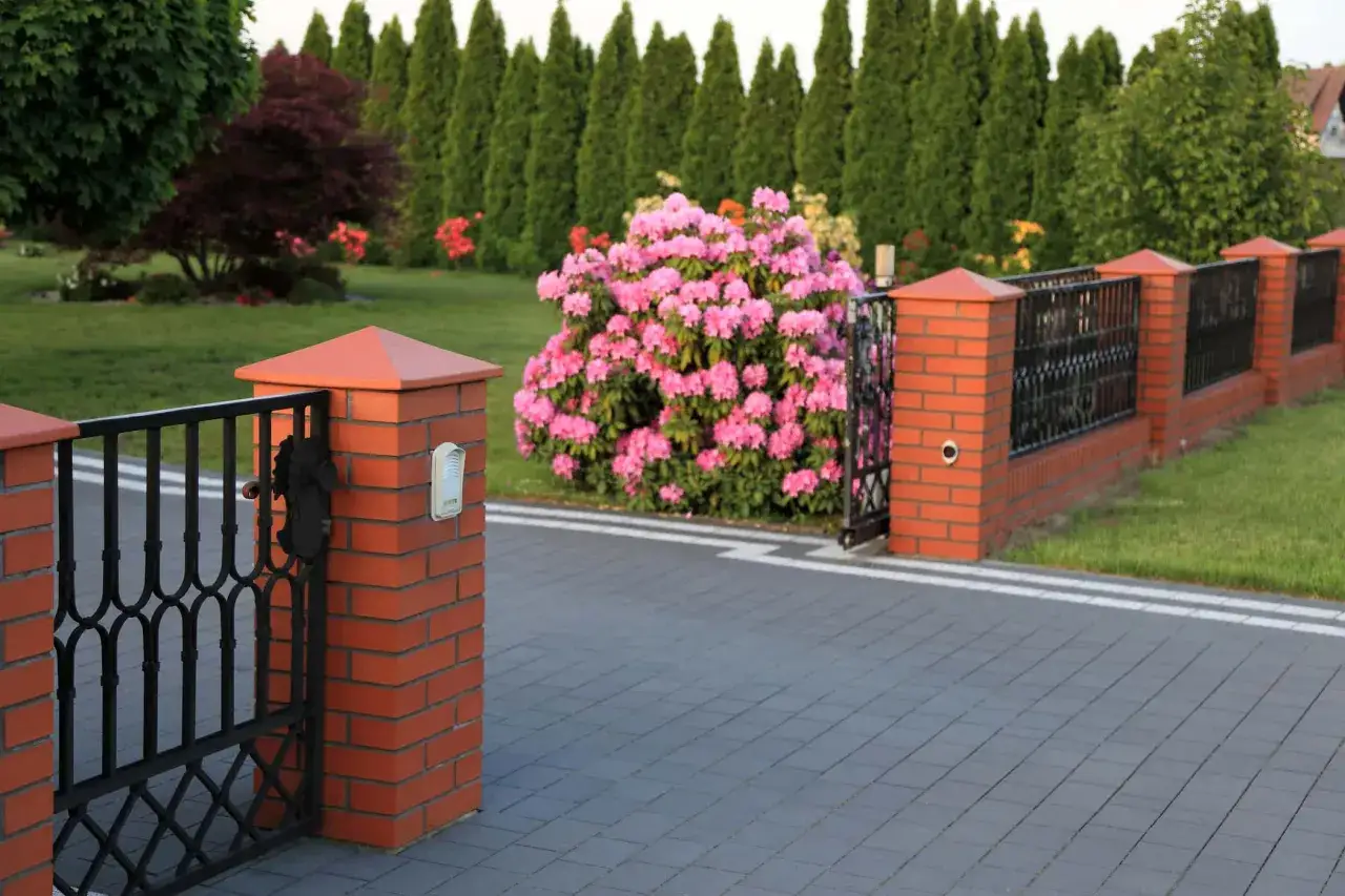 Jakie drzewa wzdłuż ogrodzenia? Sprawdź idealne rośliny na prywatność