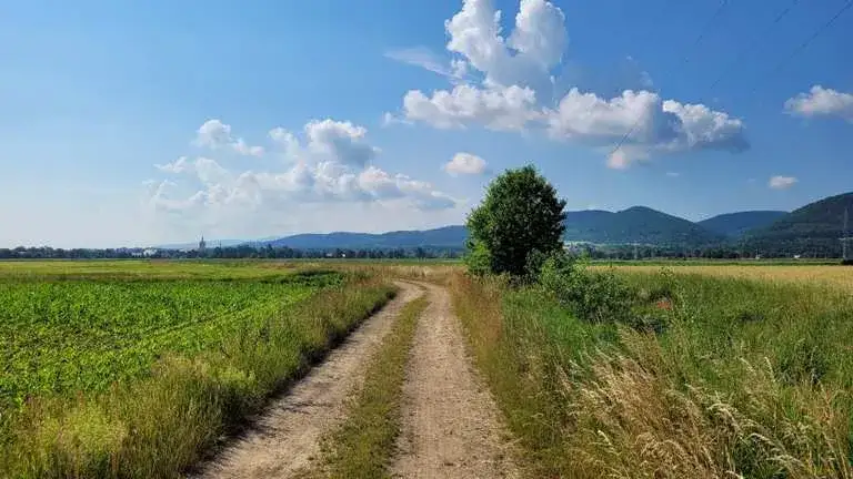 Najlepsze trasy rowerowe w Bardo - odkryj ukryte skarby regionu