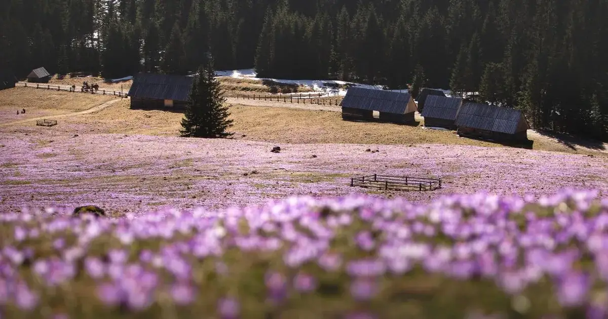 Atrakcje blisko Zakopanego, które musisz zobaczyć podczas wizyty