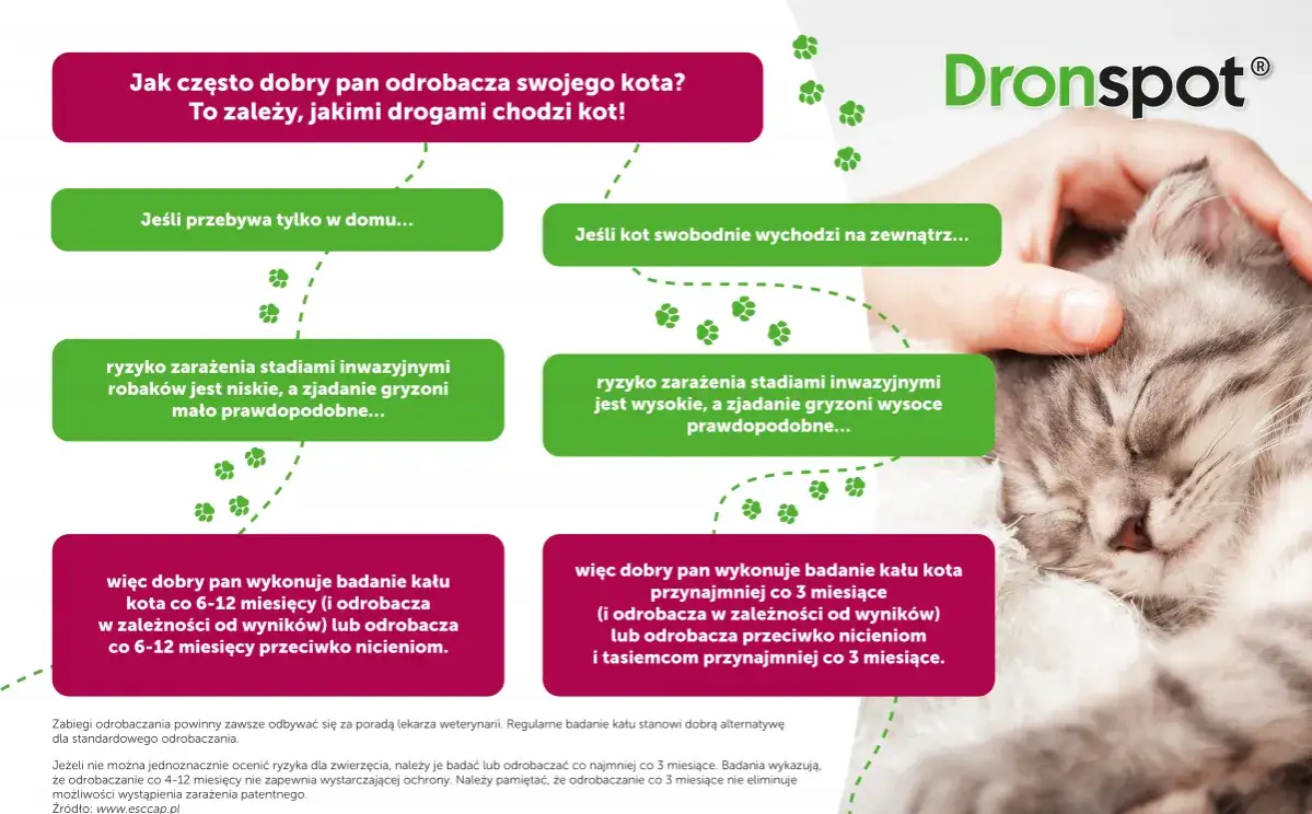 Co ile odrobacza się kota - kompletny harmonogram dla każdego pupila