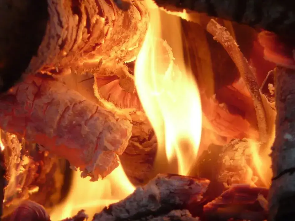 Jak przepalić piekarnik elektryczny i uniknąć nieprzyjemnych zapachów