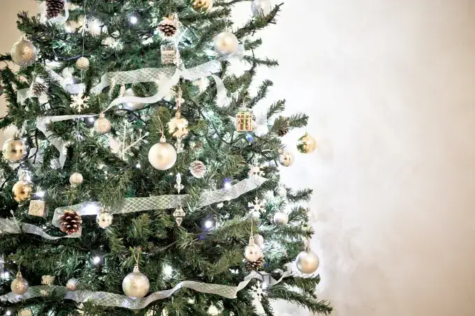 Poznaj niezwykłą symbolikę choinki i jej znaczenie w tradycji świątecznej