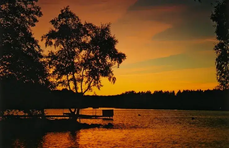 Borsk atrakcje: odkryj ukryte skarby i najlepsze miejsca do odwiedzenia