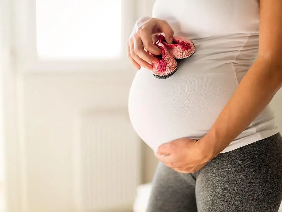 Czy bostonka jest groźna dla kobiet w ciąży? Ryzyko i zalecenia dla ciężarnych