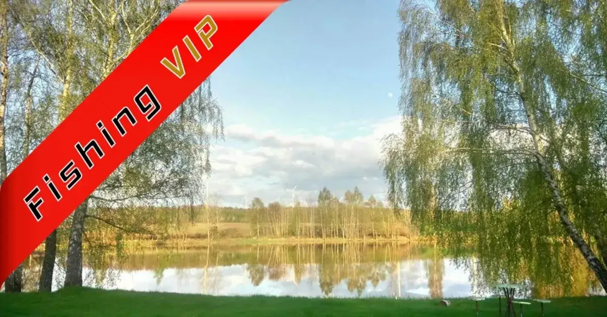 Łowisko Gniewino – idealne miejsce na wędkarską przygodę w naturze