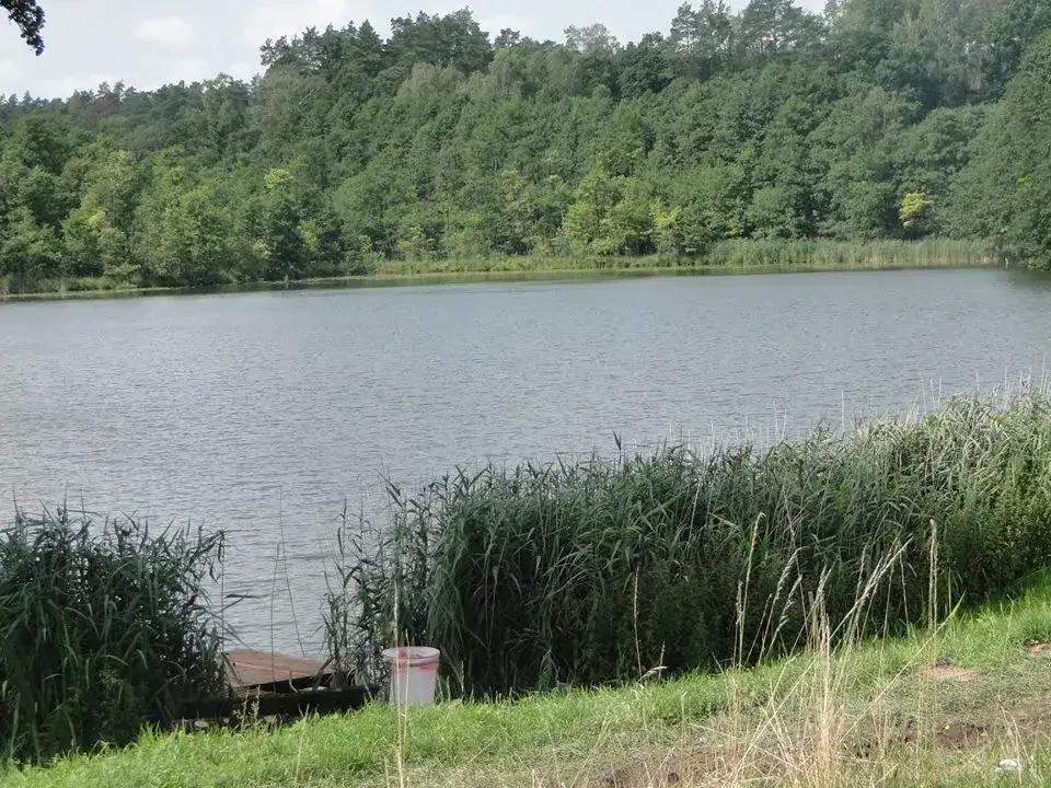 Łowisko Rudzianek: Idealne miejsce na wędkowanie bez stresu