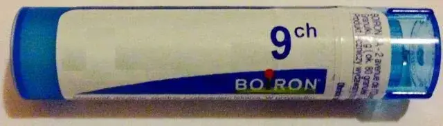 Thuja homeopatia: skuteczne leczenie dolegliwości skórnych i nie tylko