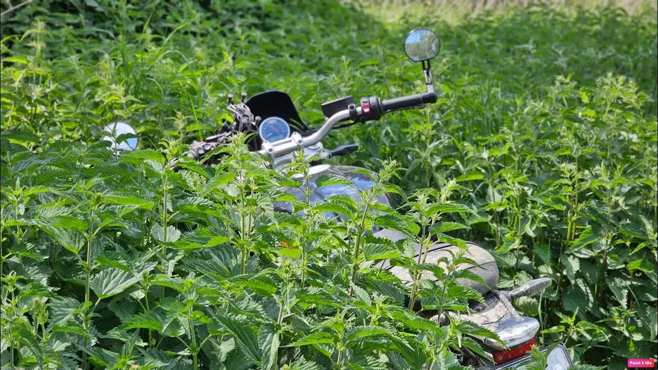 BMW R nineT - poznaj różne wersje i możliwości personalizacji motocykla