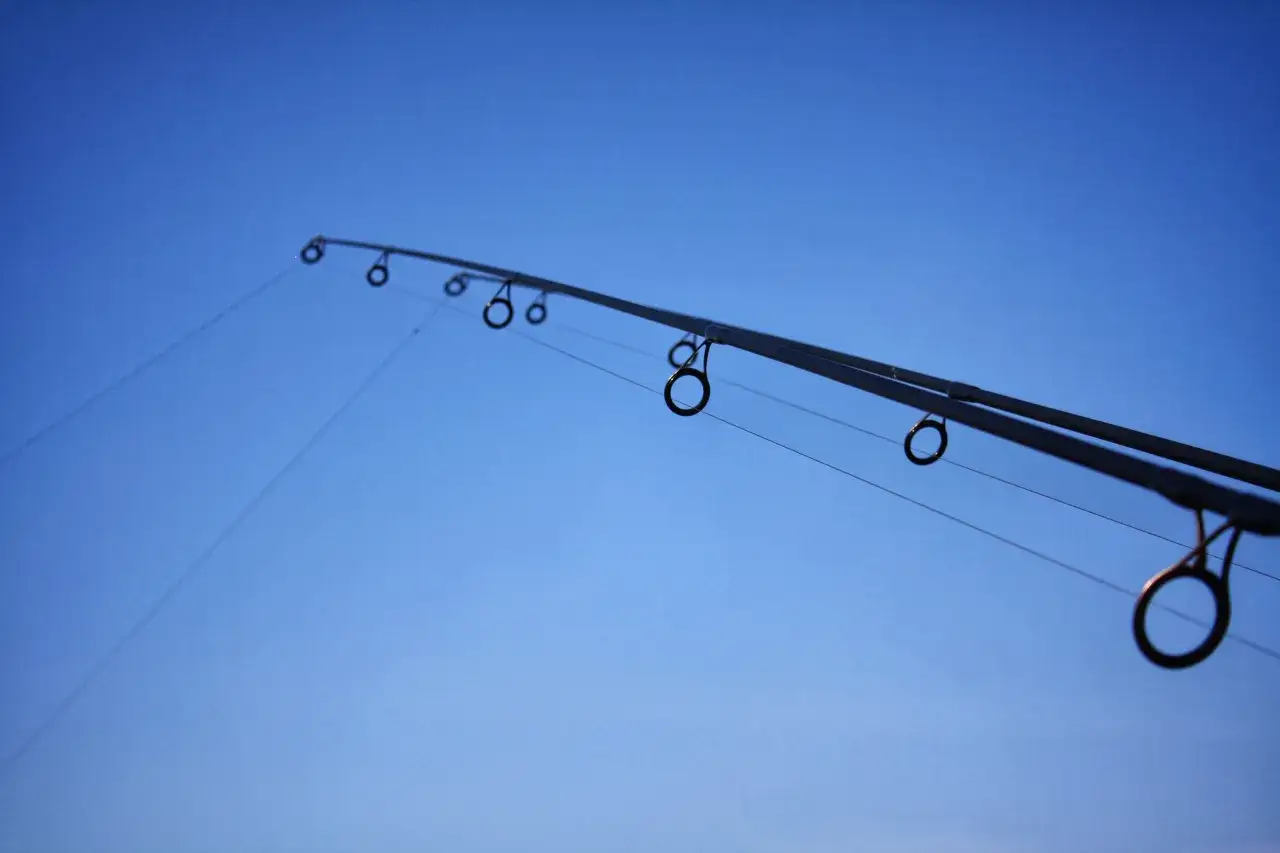 Jaką wędkę na karpia z gruntu wybrać, by nie stracić ryby?