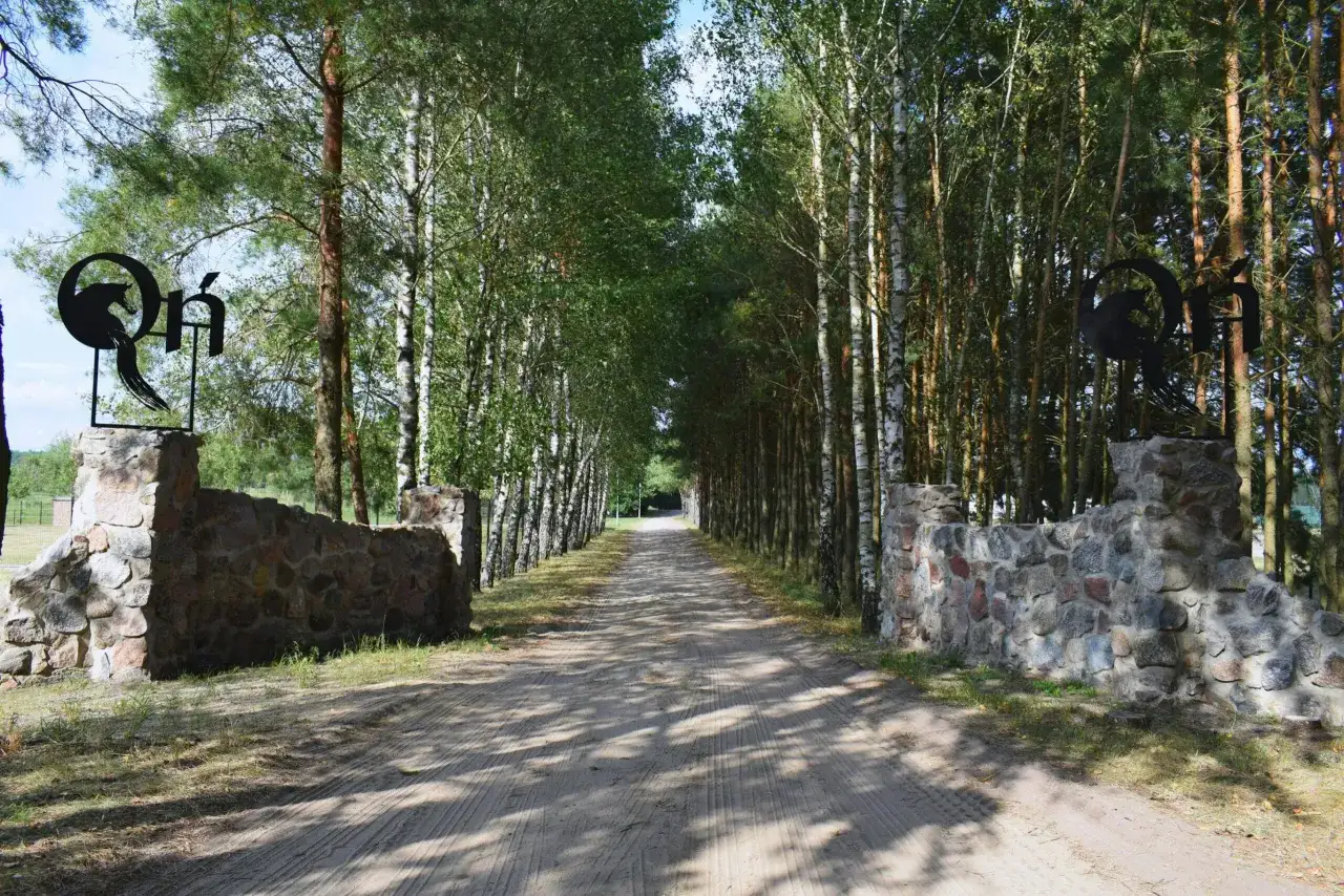 Obóz jeździecki dla dorosłych – popraw swoje umiejętności i ciesz się jazdą