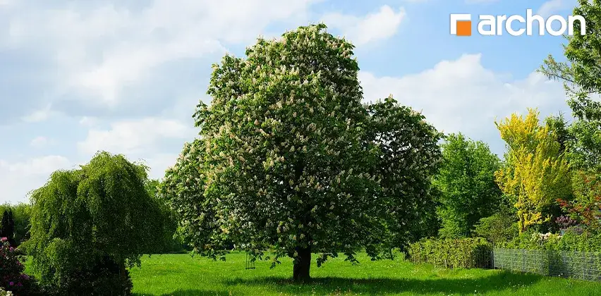 Jak sprawdzić zadłużenie księgi wieczystej i uniknąć nieprzyjemności