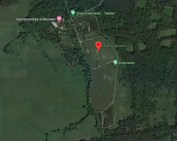 Dzikowiec łowisko: Idealne miejsce na wędkowanie w Dębnie