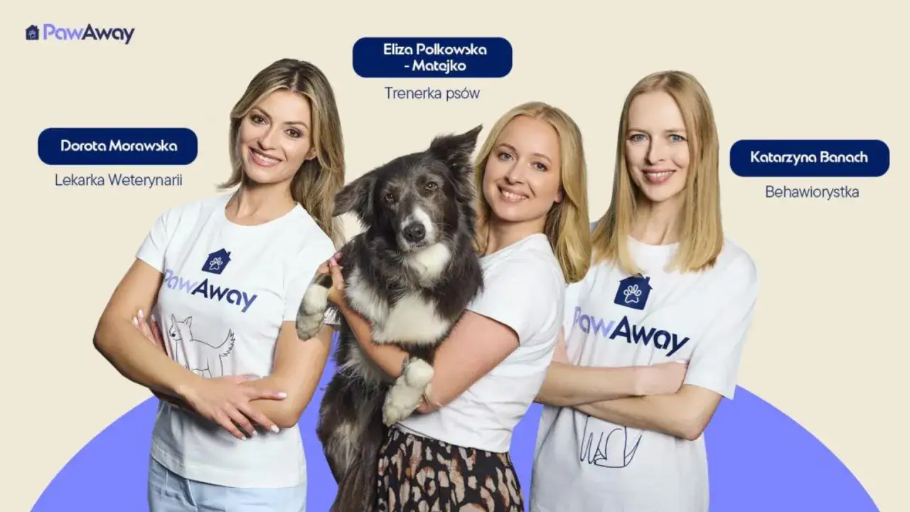 PawAway – zaufana opieka nad psami w dużych miastach w całej Polsce
