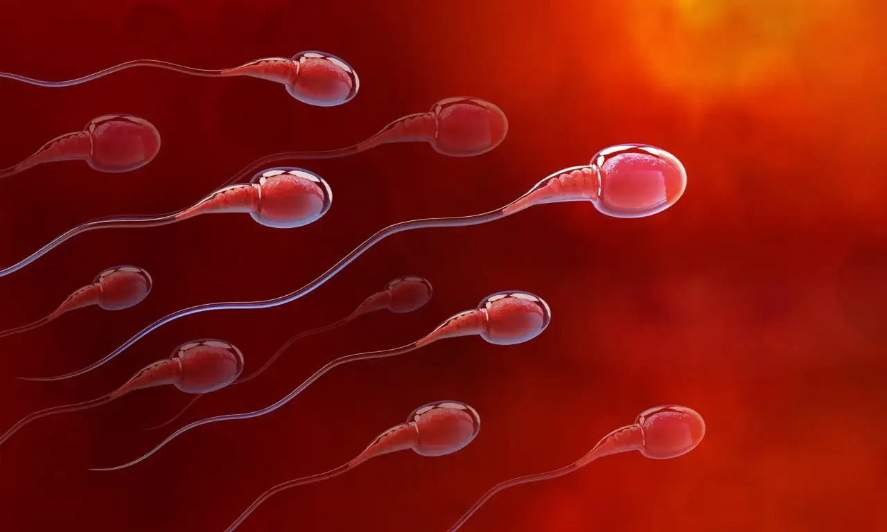 Ile można zarobić na oddawaniu spermy w banku? Sprawdź stawki!