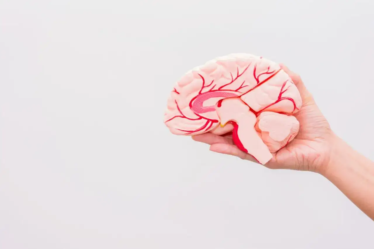 Jak rozpoznać objawy zapalenia opon mózgowych u dziecka?