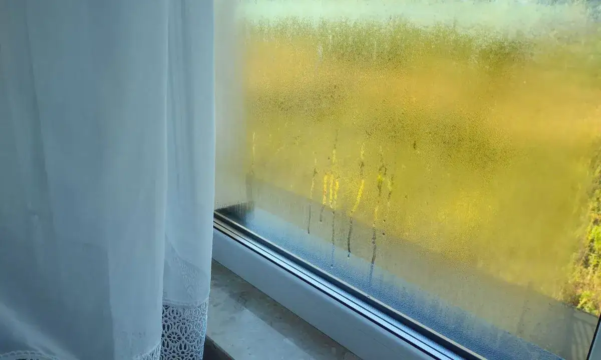Jak skutecznie zapobiec parowaniu okien? Praktyczne porady na każdą porę roku