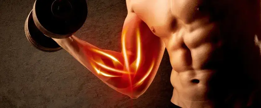 Ile białka dziennie przy treningu? Odpowiedzi, które mogą zaskoczyć