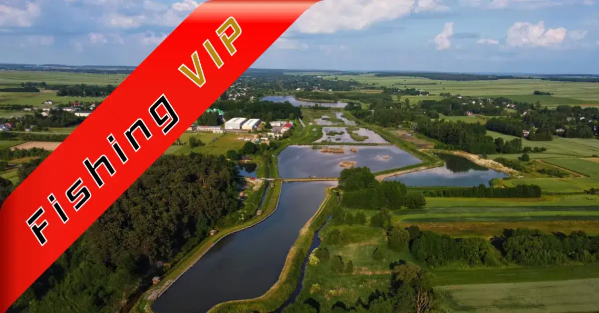 Bobrowisko łowisko - najlepsze miejsce na wędkowanie w Lubelskiem
