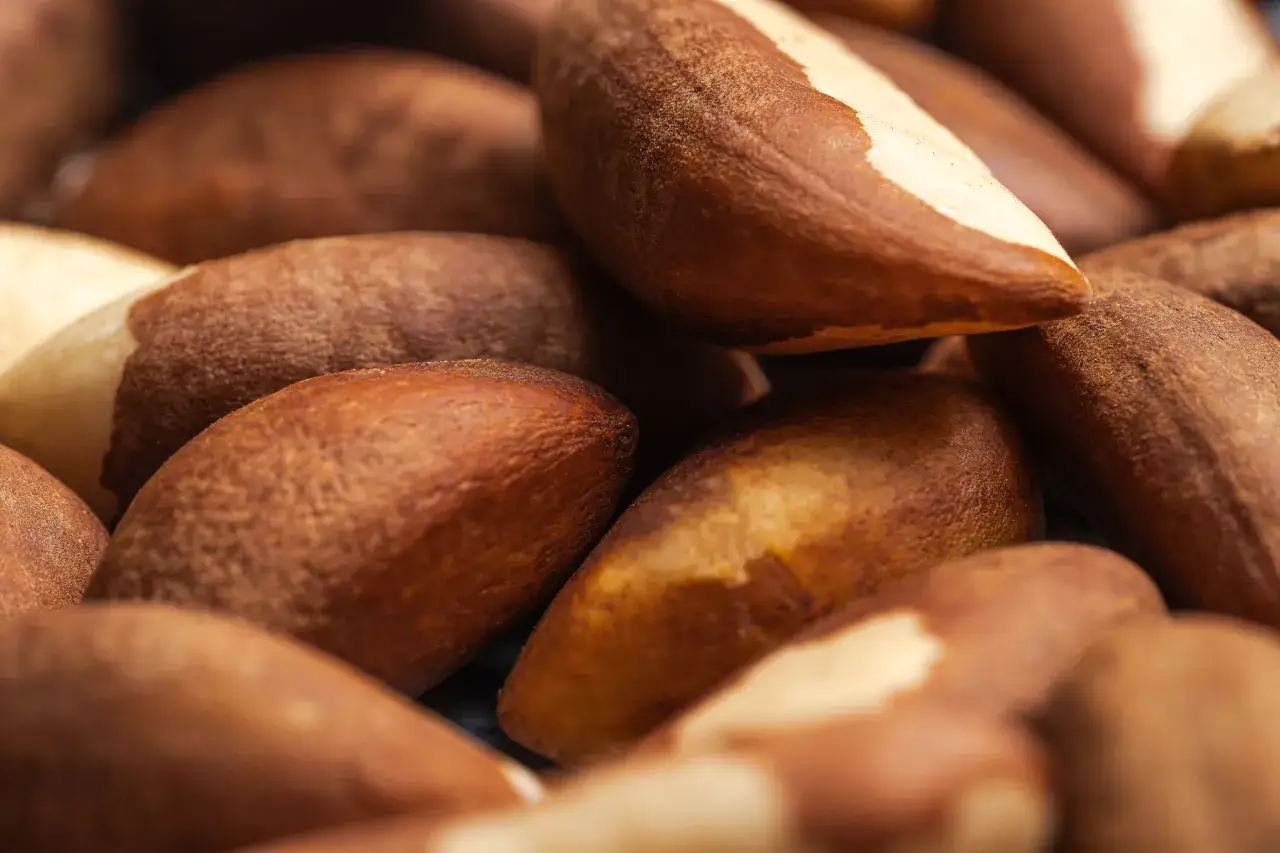Superfood z Amazonii. Orzechy brazylijskie i ich właściwości, które zaskakują