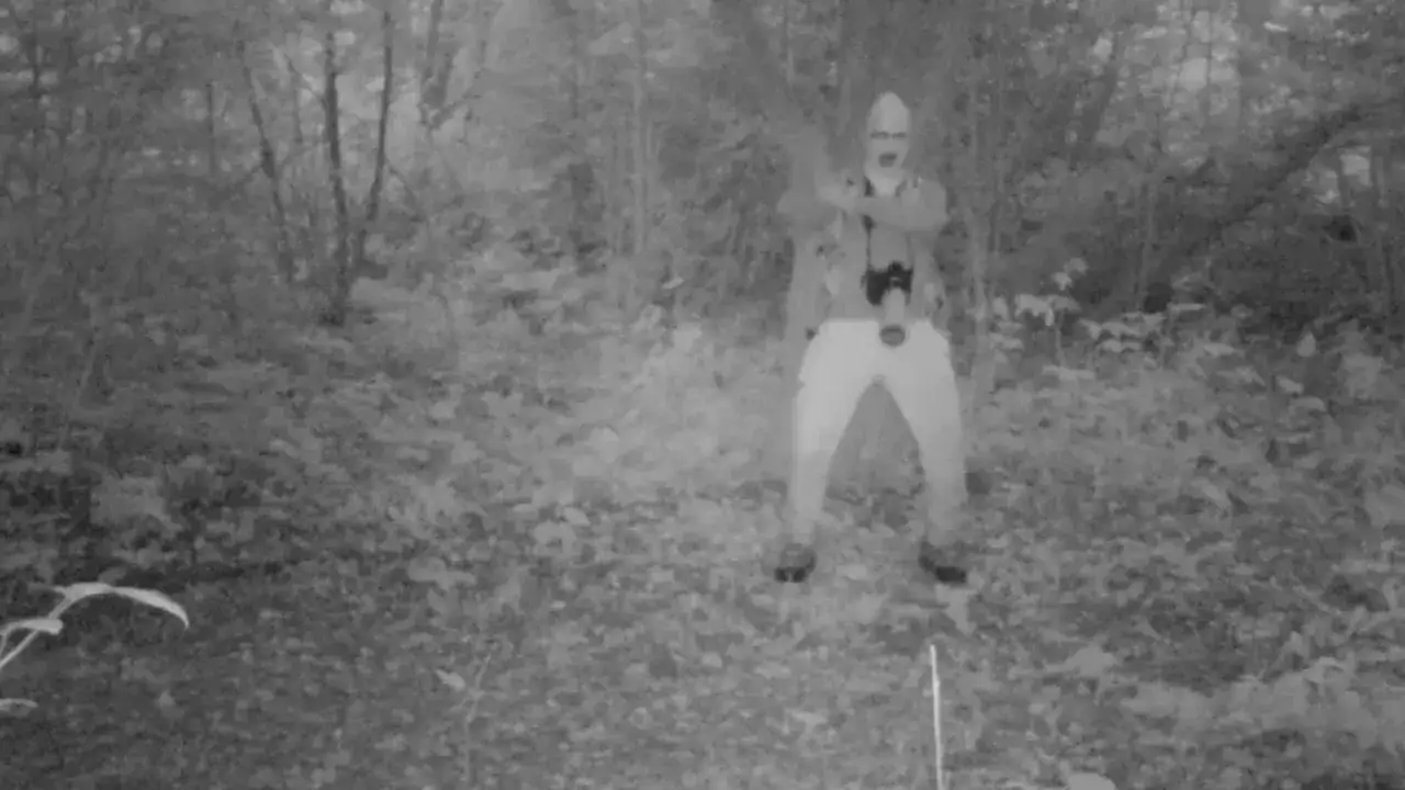 Jak wygląda kamera w lesie? Odkryj jej niesamowite cechy i design