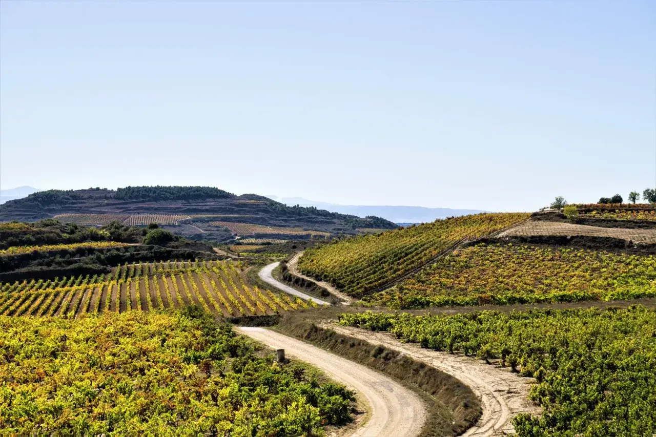 Charakterystyka regionu winiarskiego Rioja
