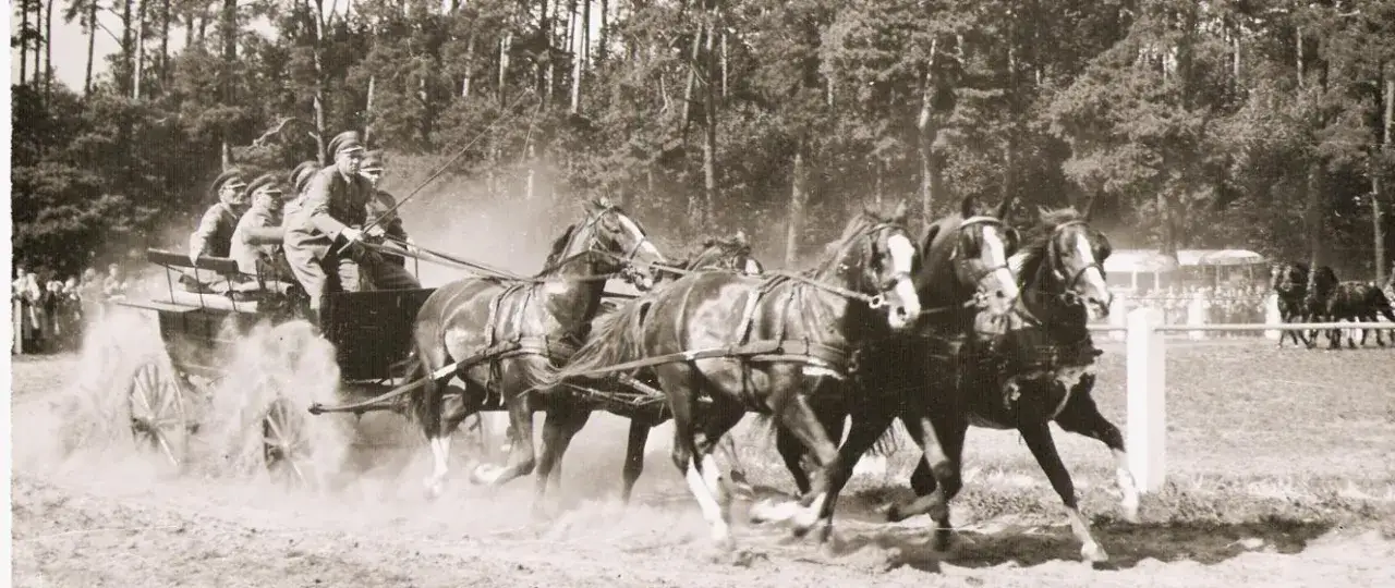 Stadnina ogierów Łąck - historia, tradycja i aktualne wydarzenia