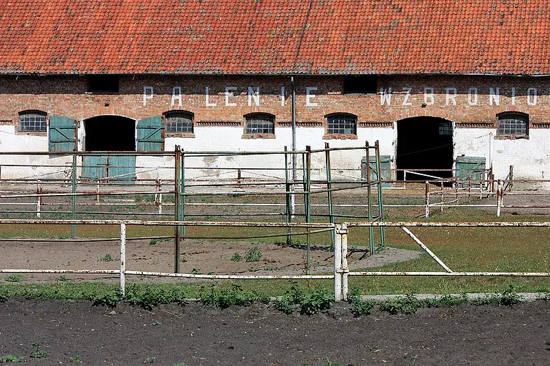 Kadyny stadnina koni - odkryj fascynującą historię i atrakcje