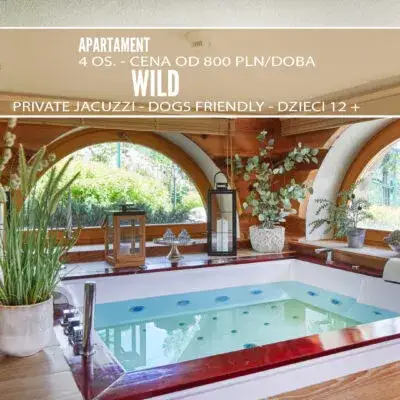 Termy Witów - kiedy otwarcie? Godziny, cennik i atrakcje