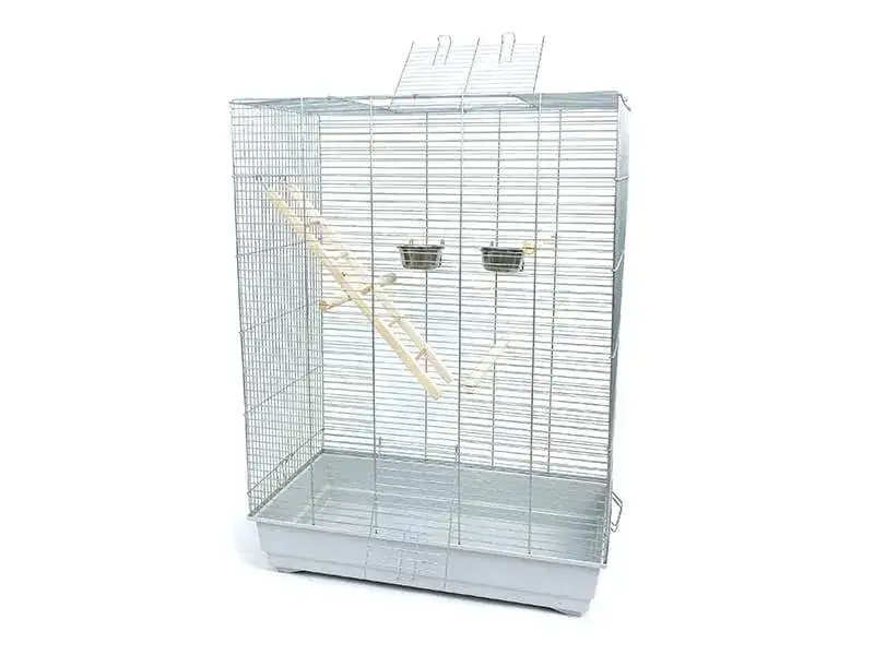 Jak dobrać idealną klatkę dla nimfy? Wszystkie wymiary i wyposażenie