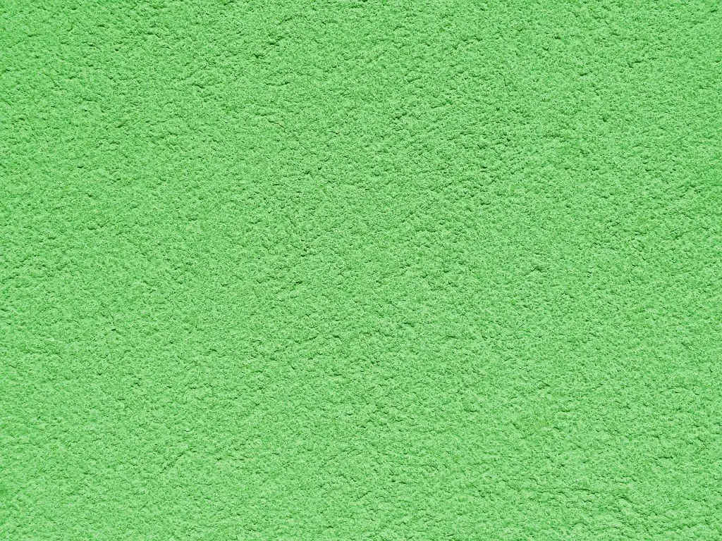 Czym pomalować tynk? Najlepsze farby i metody malowania